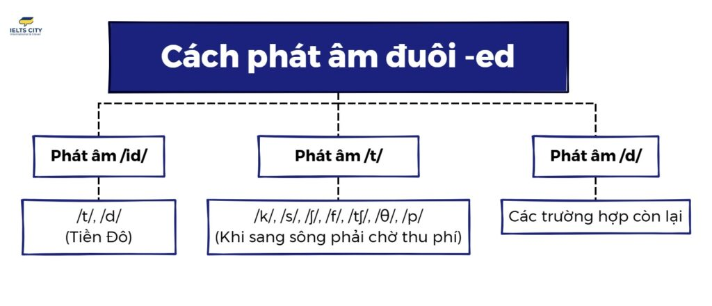 Cách Phát Âm ED Bằng Câu Thần Chú - Phương Pháp Học Tiếng Anh Hiệu Quả