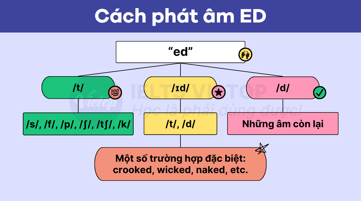 Cách Phát Âm ED Bằng Câu Thần Chú - Phương Pháp Học Tiếng Anh Hiệu Quả