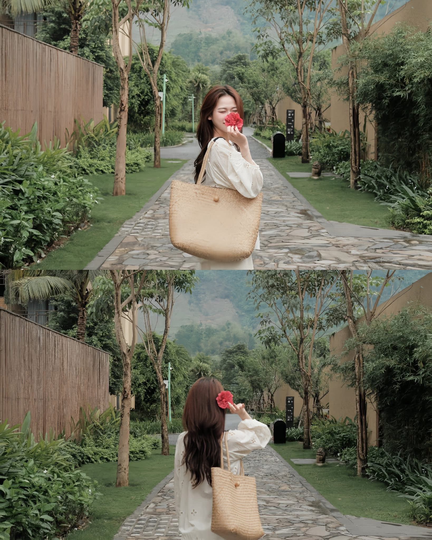 550237231 3231624243663373 6224078896180541742 N