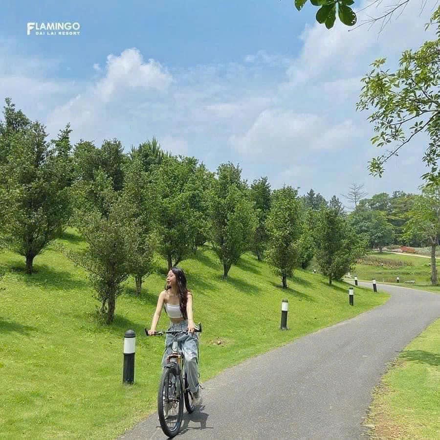 Chia Sẻ Trải Nghiệm Đến Flamingo Đại Lải Du Lịch 1 Ngày