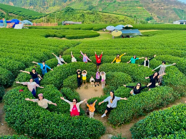 Top 5 Địa Chỉ Lưu Trú Uy Tín Khi Đến Du Lịch Mộc Châu 2 Ngày 1 Đêm