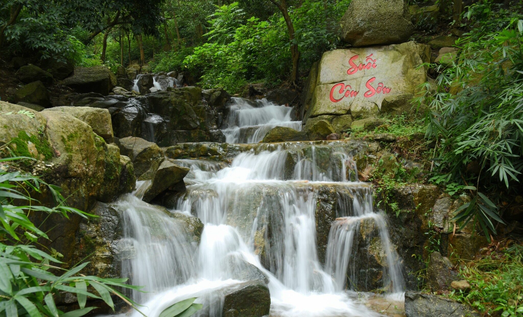 Chỉ Với 480K Trải Nghiệm Trọn Bộ Du Lịch Côn Sơn – Kiếp Bạc 1 Ngày