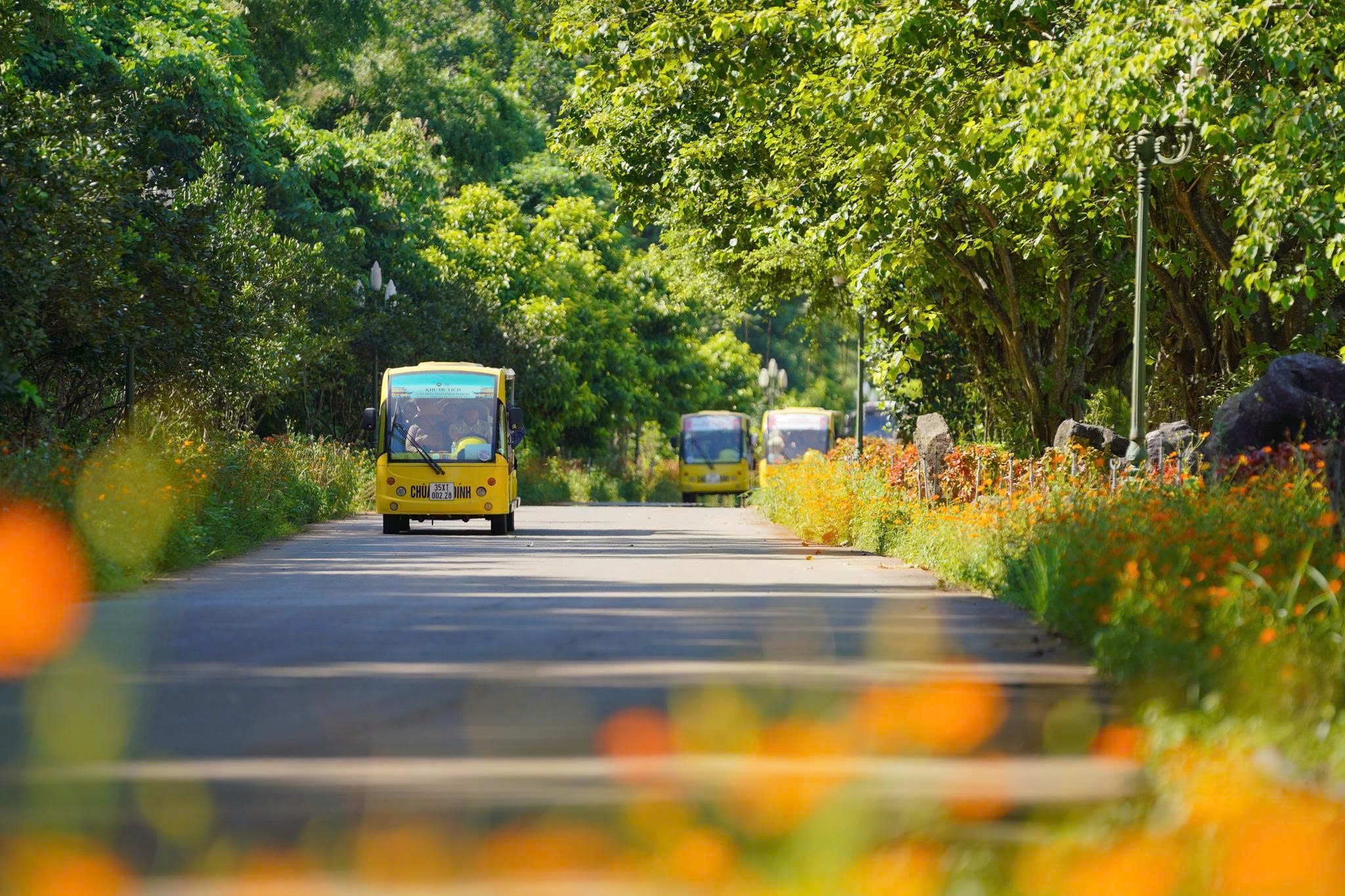 557622649 792457446816559 2872432888700186838 N