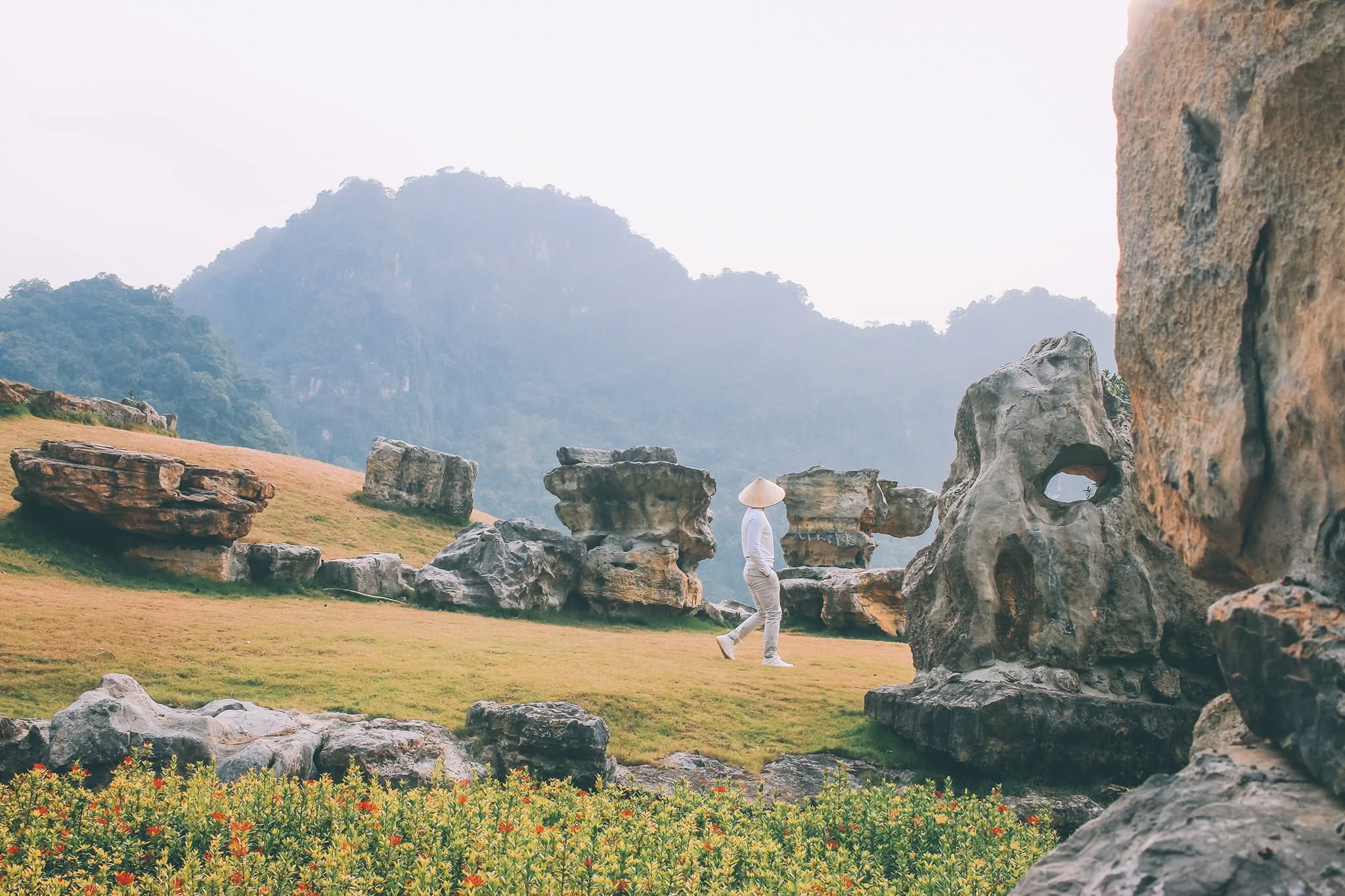 518376430 10224866470363474 2157607326374565633 N