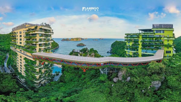Những Phương Thức Di Chuyển Nên Sử Dụng Tại Flamingo Cát Bà