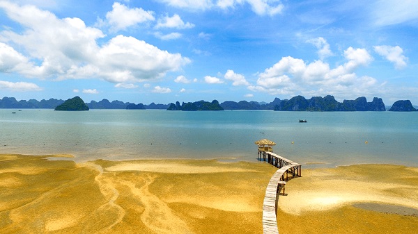 Chia Sẻ Kinh Nghiệm Di Chuyển Đến Du Lịch Vân Đồn