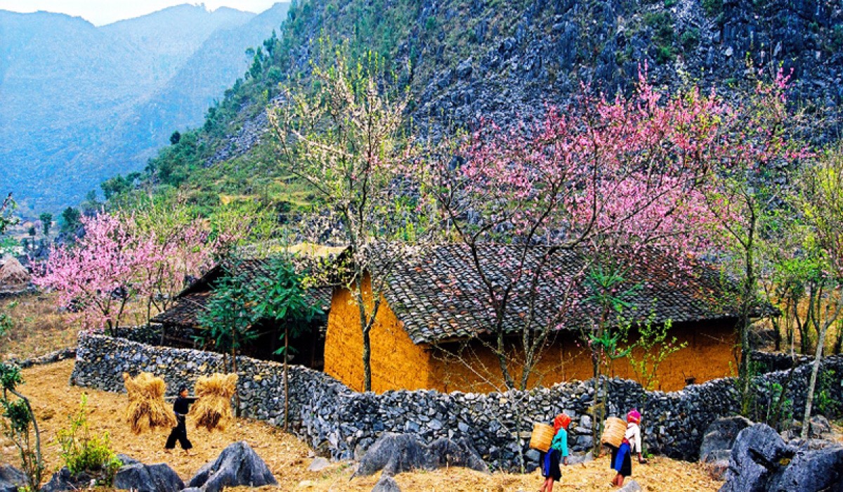 Hướng Dẫn Di Chuyển Đến Hà Giang 2 Ngày 1 Đêm Thuận Tiện, Tiết Kiệm