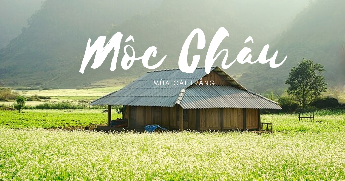 Bỏ Túi Kinh Nghiệm Check-in Khi Du Lịch Mộc Châu