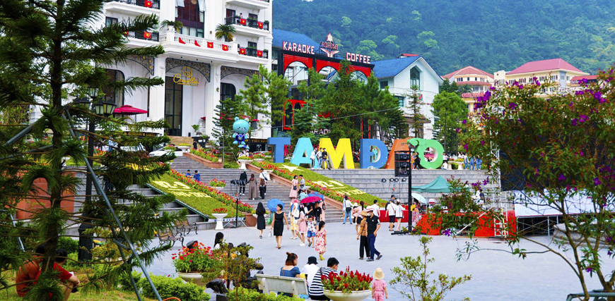 Lịch Trình Du Lịch Tam Đảo 1 Ngày